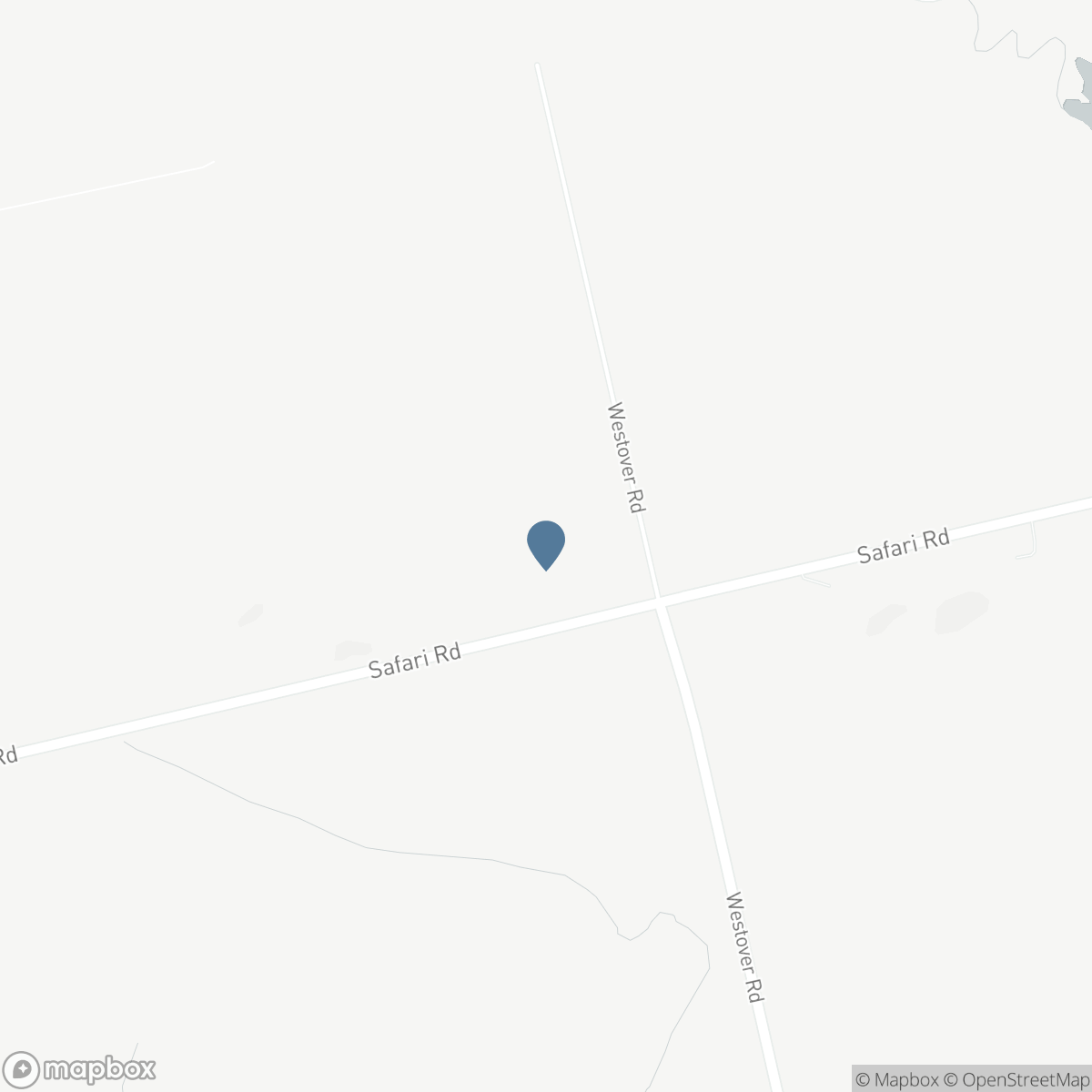 1399 SAFARI Road, Hamilton, Ontario L8B 1S6